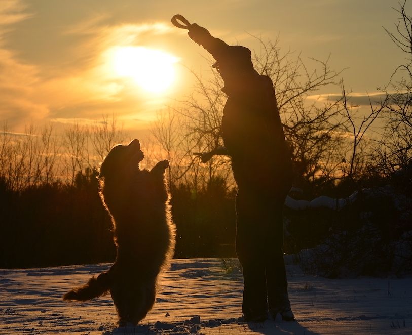 Calcium, Phosphorus and Vitamin D